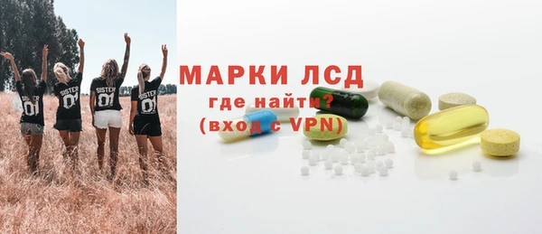 прущие грибы Алзамай