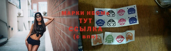 прущие грибы Алзамай
