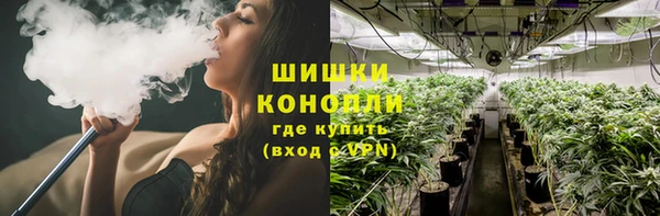 ПСИЛОЦИБИНОВЫЕ ГРИБЫ Алексеевка
