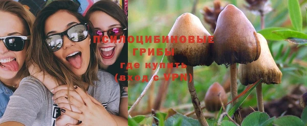 ПСИЛОЦИБИНОВЫЕ ГРИБЫ Алексеевка