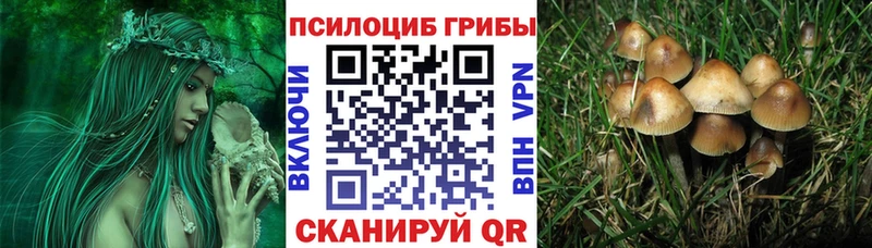 Псилоцибиновые грибы прущие грибы  купить закладку  Мамадыш 